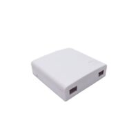 Caja terminal de fibra Óptica ABS plástica de 2 puertos